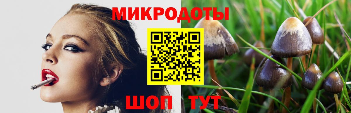 Псилоцибиновые грибы Magic Shrooms  Галлюциногенные грибы Cubensis  Верхняя Салда  Вход с VPN 